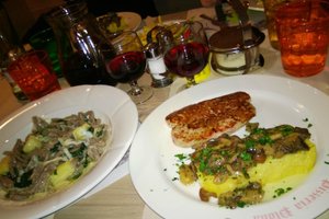 Cibo