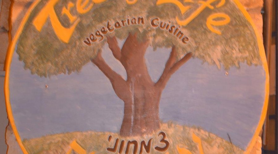 Tree of Life in Safed