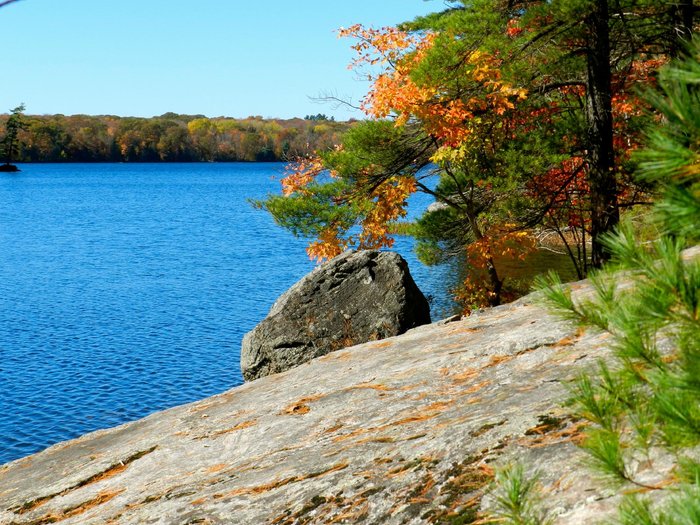 MUSKOKA LAKE COTTAGES (MUSKOKA LAKES, CANADÁ): comparação de preços e ...