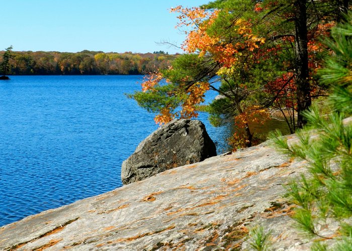 Sloping rocks by shore ideal for sunning and picnicking