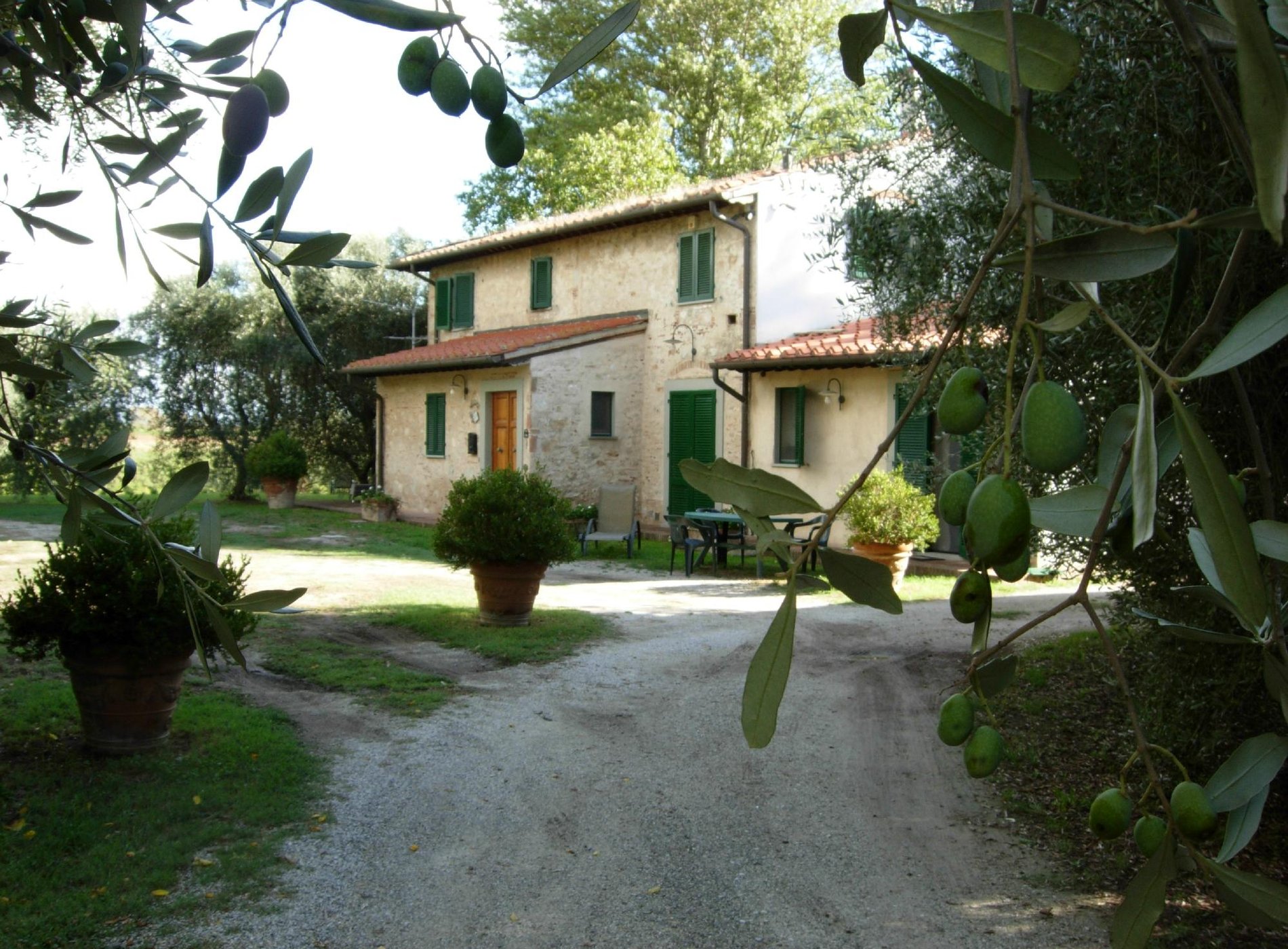 B&B La Piaggia image