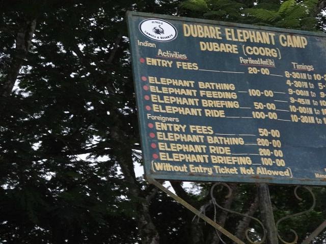 Dubare Elephant Camp image