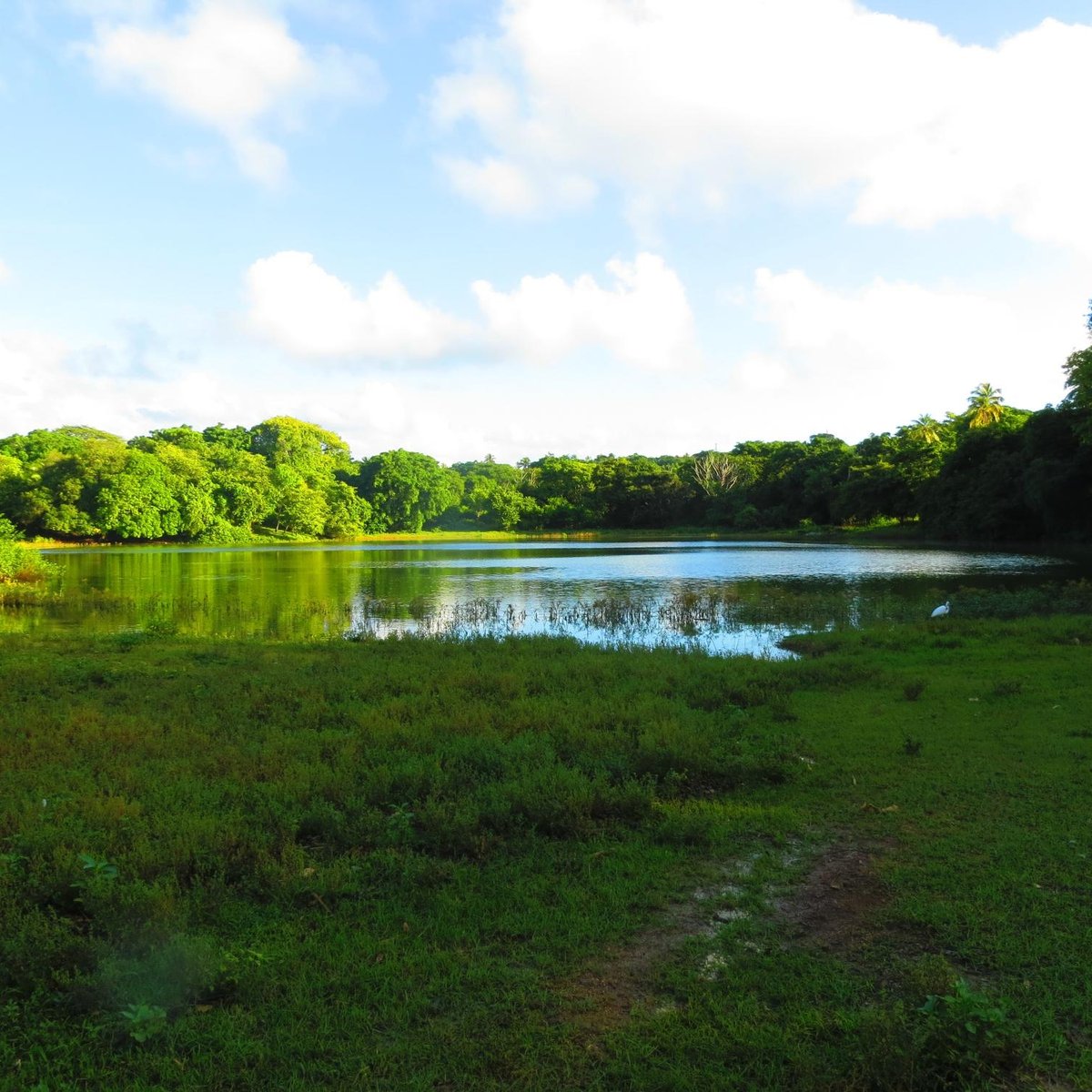 Laguna Big Pond, San Andres: лучшие советы перед посещением - Tripadvisor