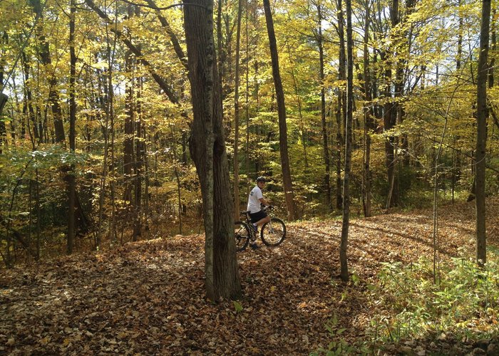 Nice trail