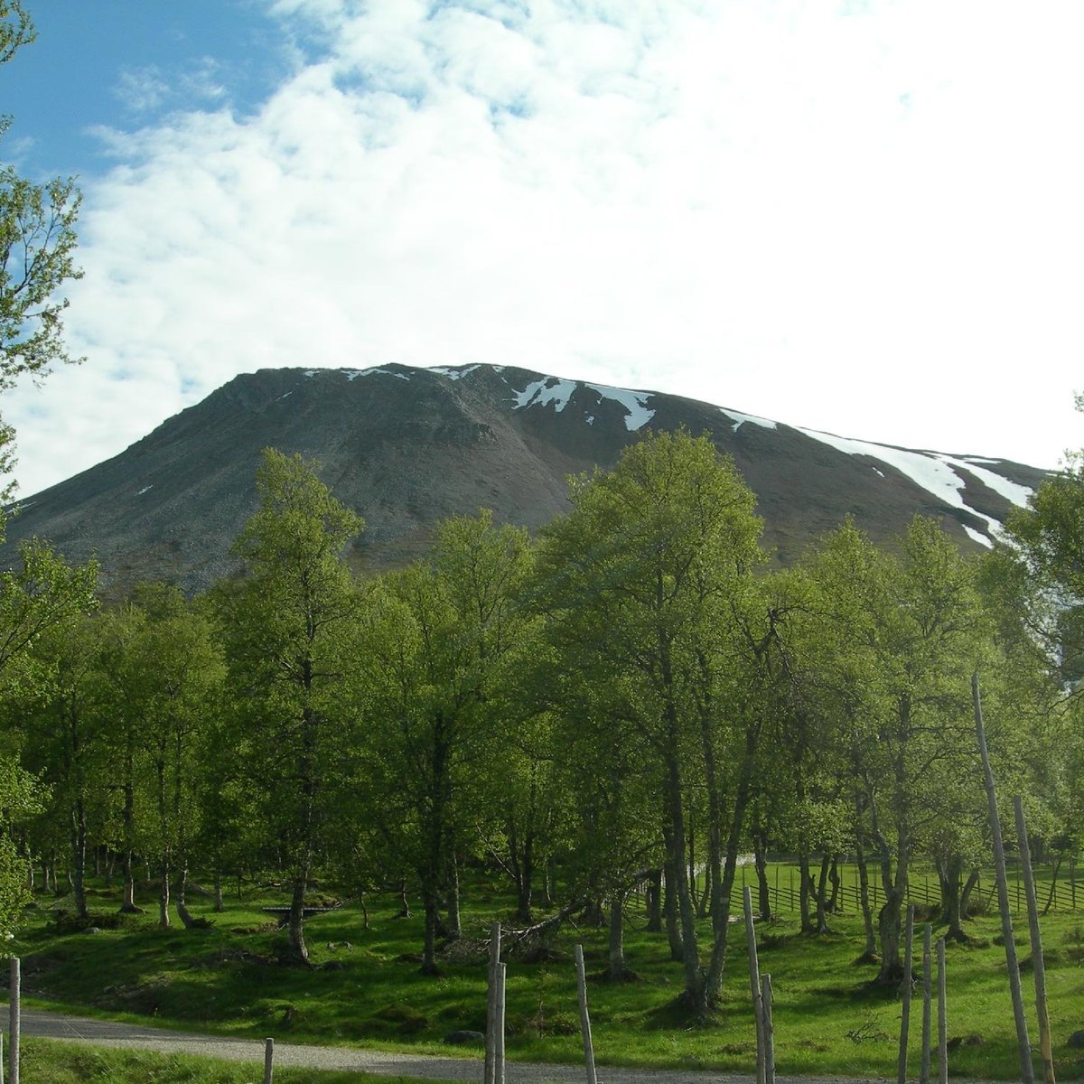 Sonfjallet National Park (Härjedalen) 2022 Lohnt es sich? (Mit fotos)