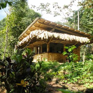 Bamboo kitchen and bar, the heart of the farm.