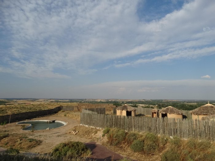 Imagen 6 de Parque Arqueológico de Roa de Duero