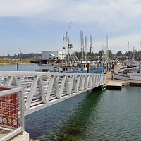 Charleston Marina's new dock