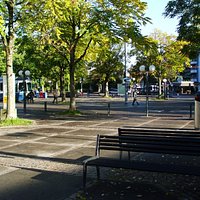 The square