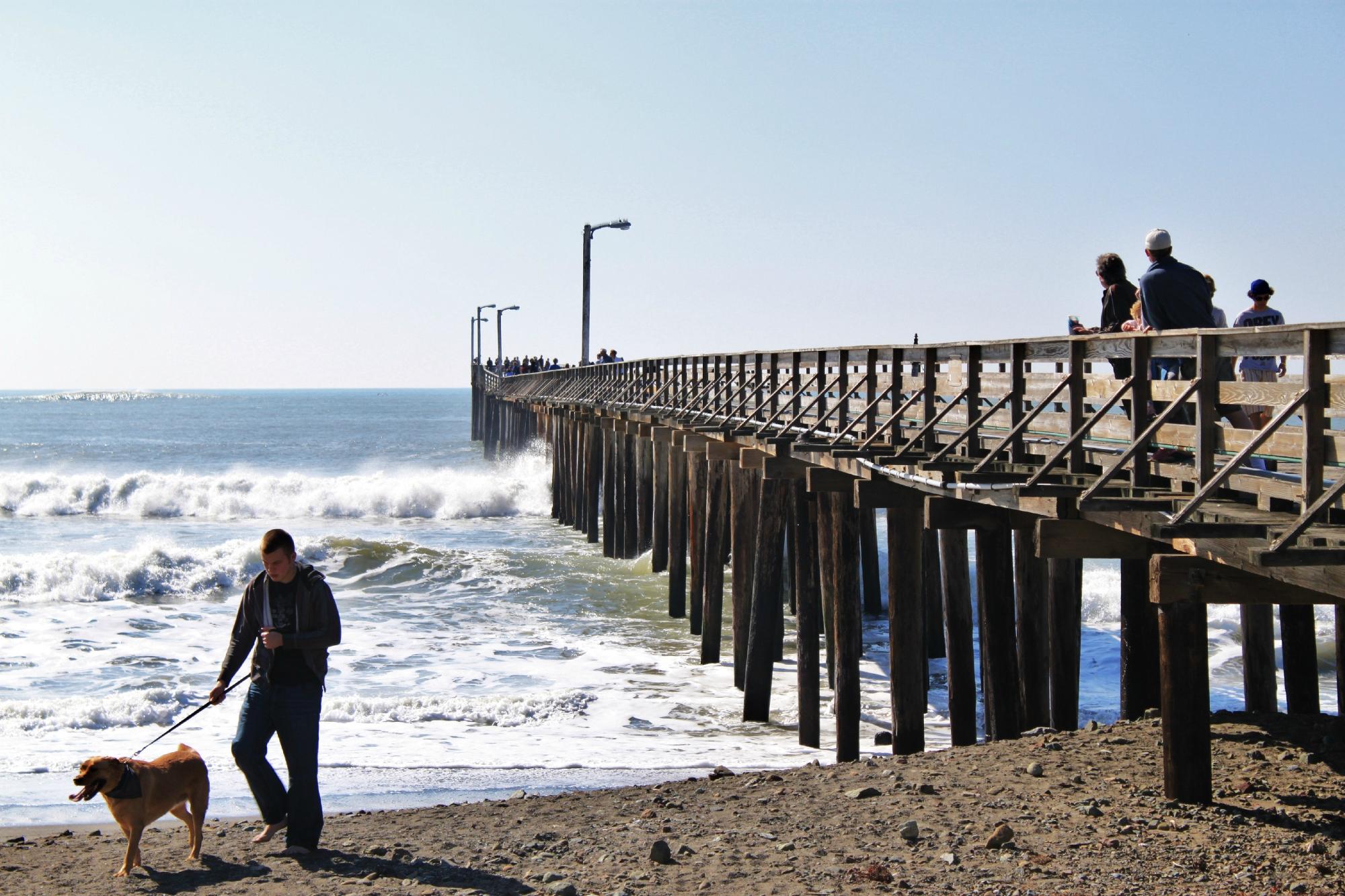 Cayucos Pier All You Need to Know BEFORE You Go with Photos