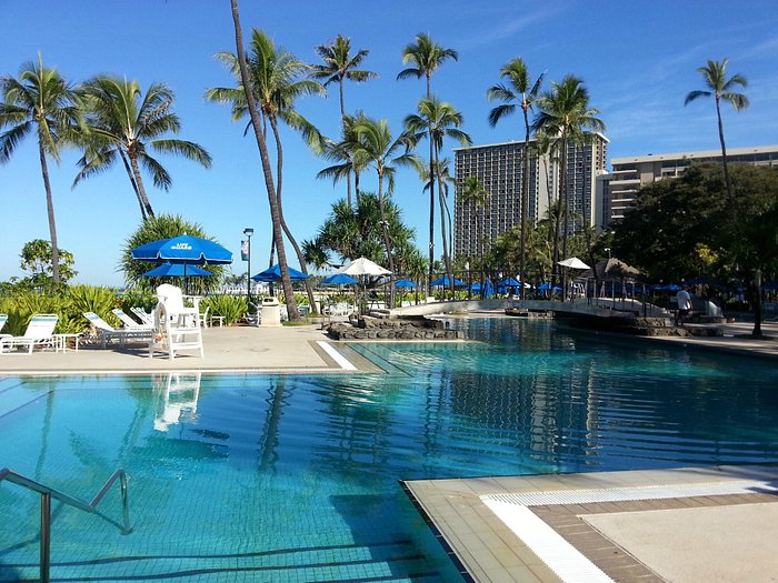 Live Music at the Bar - Picture of Hilton Hawaiian Village Waikiki Beach  Resort, Oahu - Tripadvisor