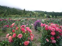 21年 木島平やまびこの丘公園 行く前に 見どころをチェック トリップアドバイザー