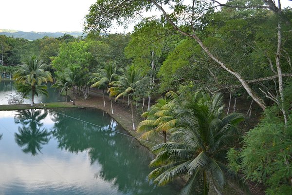 Tela, Honduras 2024: Best Places to Visit - Tripadvisor