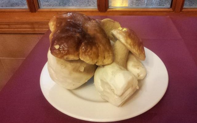 boletus edulis