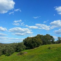 getlstd_property_photo