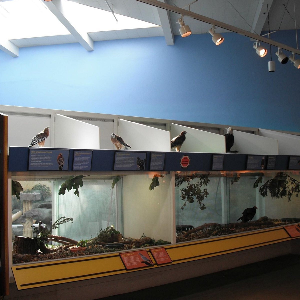 Lindsay wildlife museum