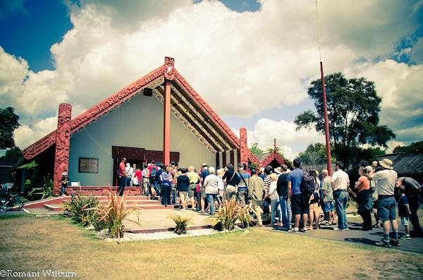 custom day tours tauranga