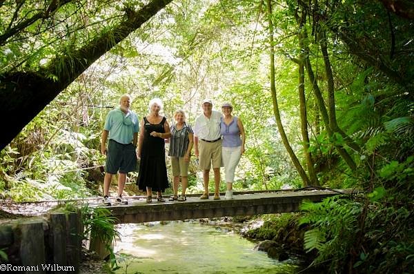 custom day tours tauranga