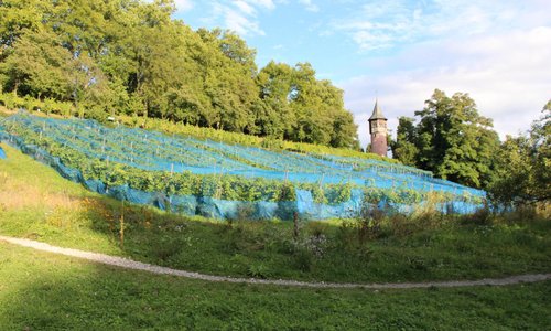 Mainau Isle