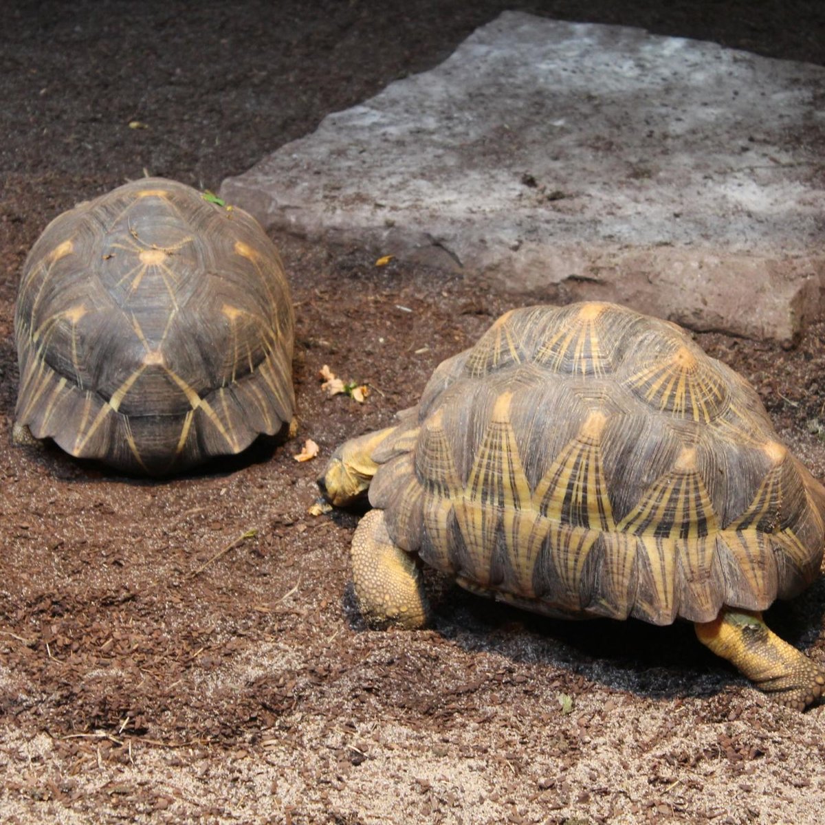 Aquazoo Loebbecke Museum Dusseldorf All You Need To Know Before You Go