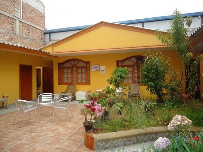 Orquídeas naturales - Picture of Hotel El Cisne Internacional, Riobamba -  Tripadvisor