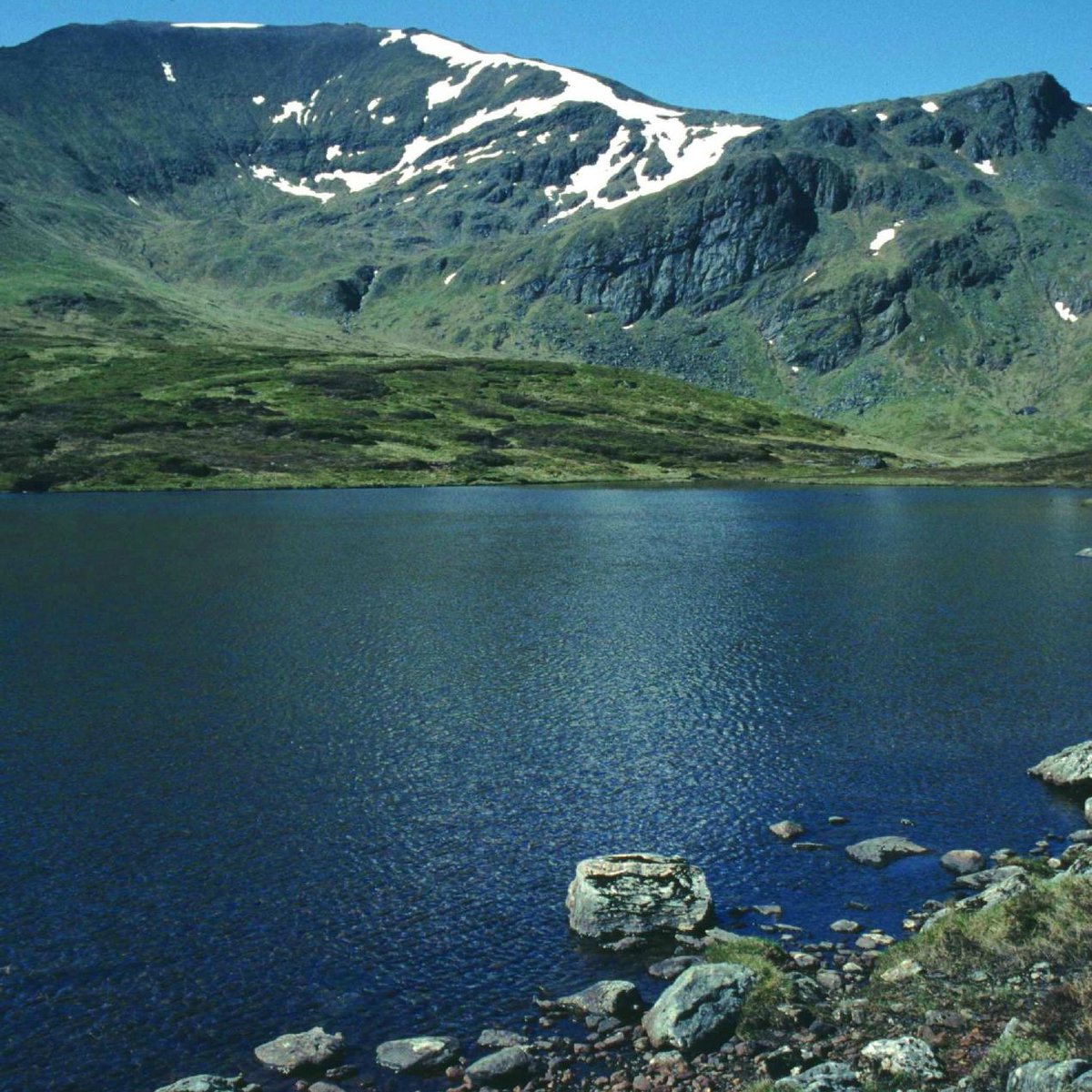 ben-lawers-national-nature-reserve-killin-all-you-need-to-know