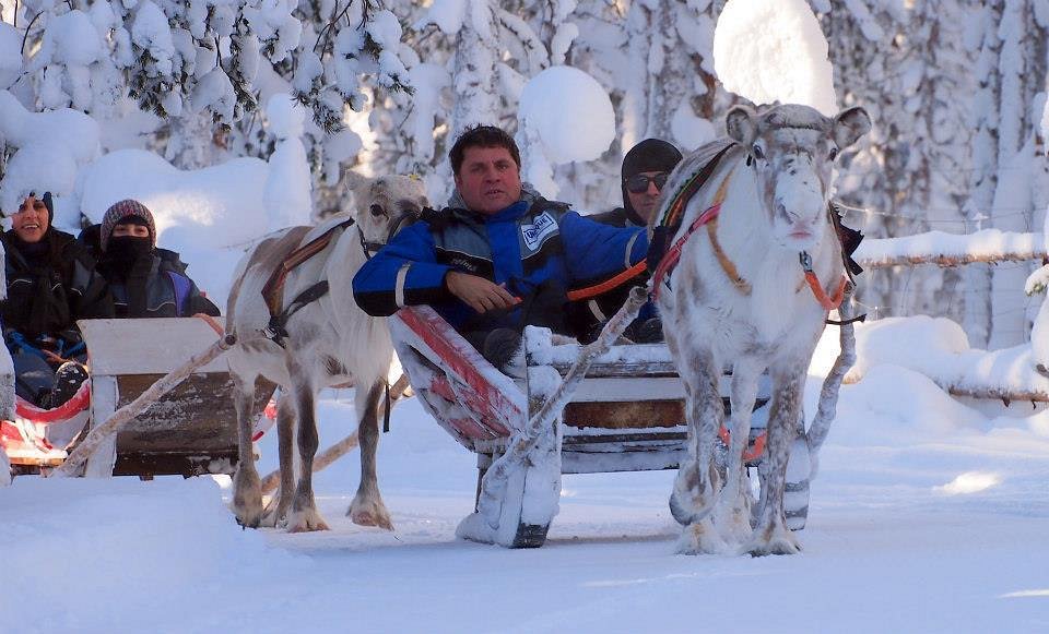 wild nordic finland safari center