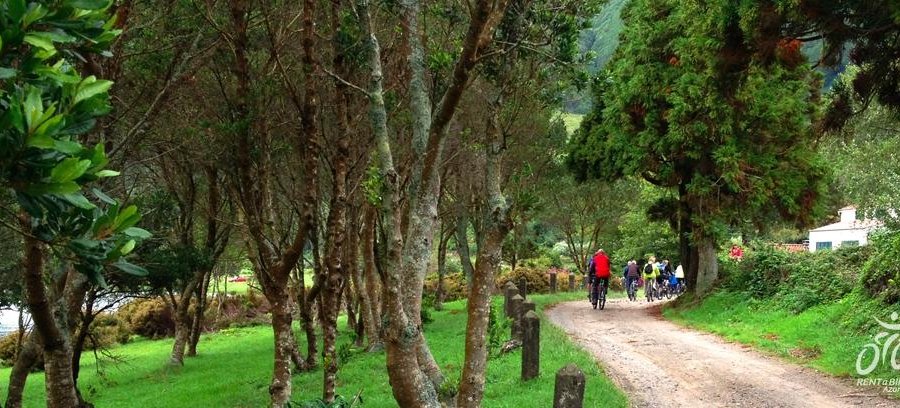 Bike Tour in Sete Cidades