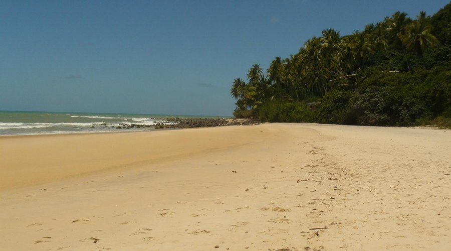 Playa