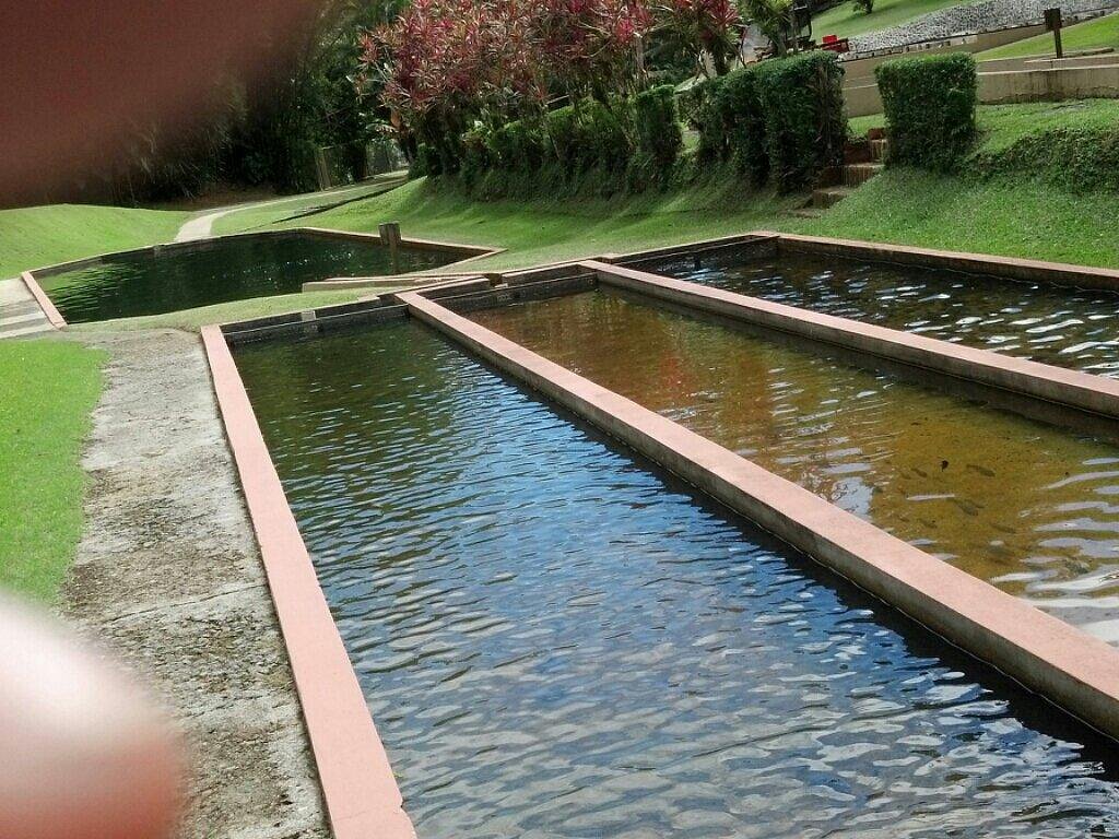 Vivero de Peces de Maricao - All You Need to Know BEFORE You Go (2025)