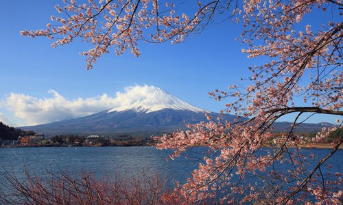 Kawaguchi, Japan 2023: Best Places to Visit - Tripadvisor