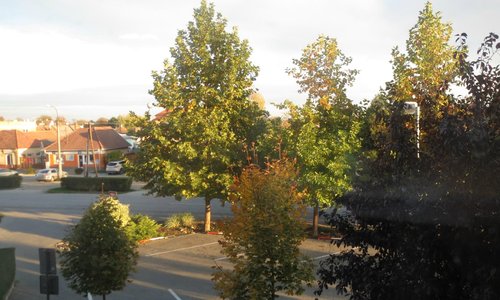 View from my room