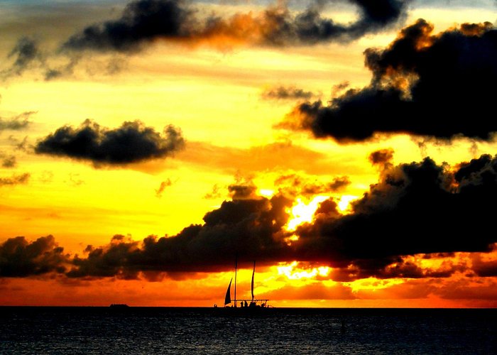 Into the Sunset, Aruba