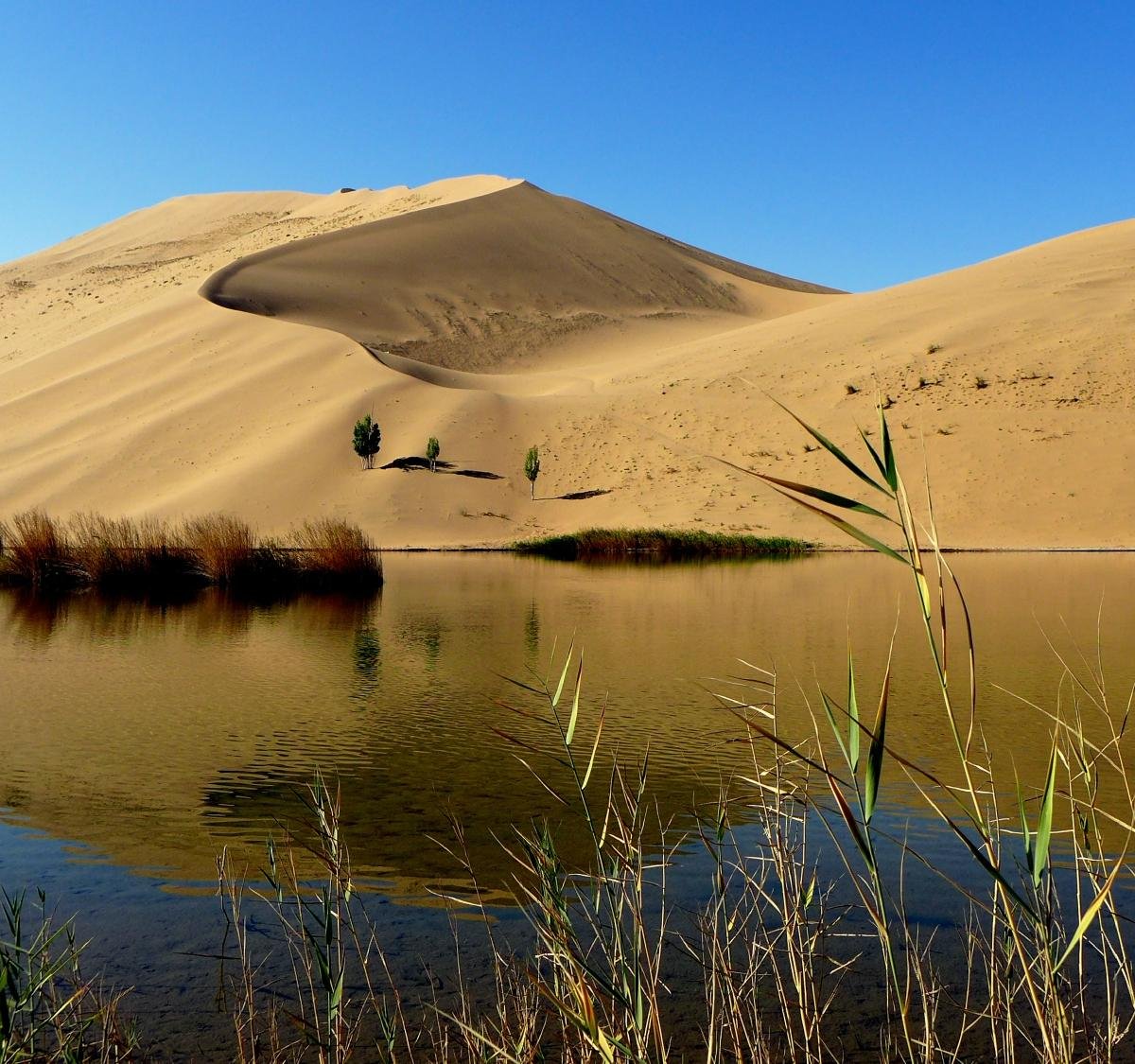 The Hitchhikers' Guide to the Gobi: Three-wheeling Through the Desert -  Bike China Adventures