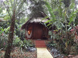 HOTEL SHAWANDHA LODGE $135 ($̶2̶7̶5̶) - Costa Rica Hotel 2024 Prices ...