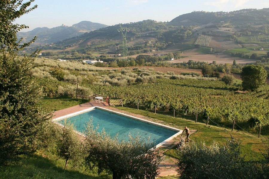 AGRITURISMO FIAMMETTA Hotel (Monte Colombo, Provincia di Rimini): Prezzi 2022 e recensioni