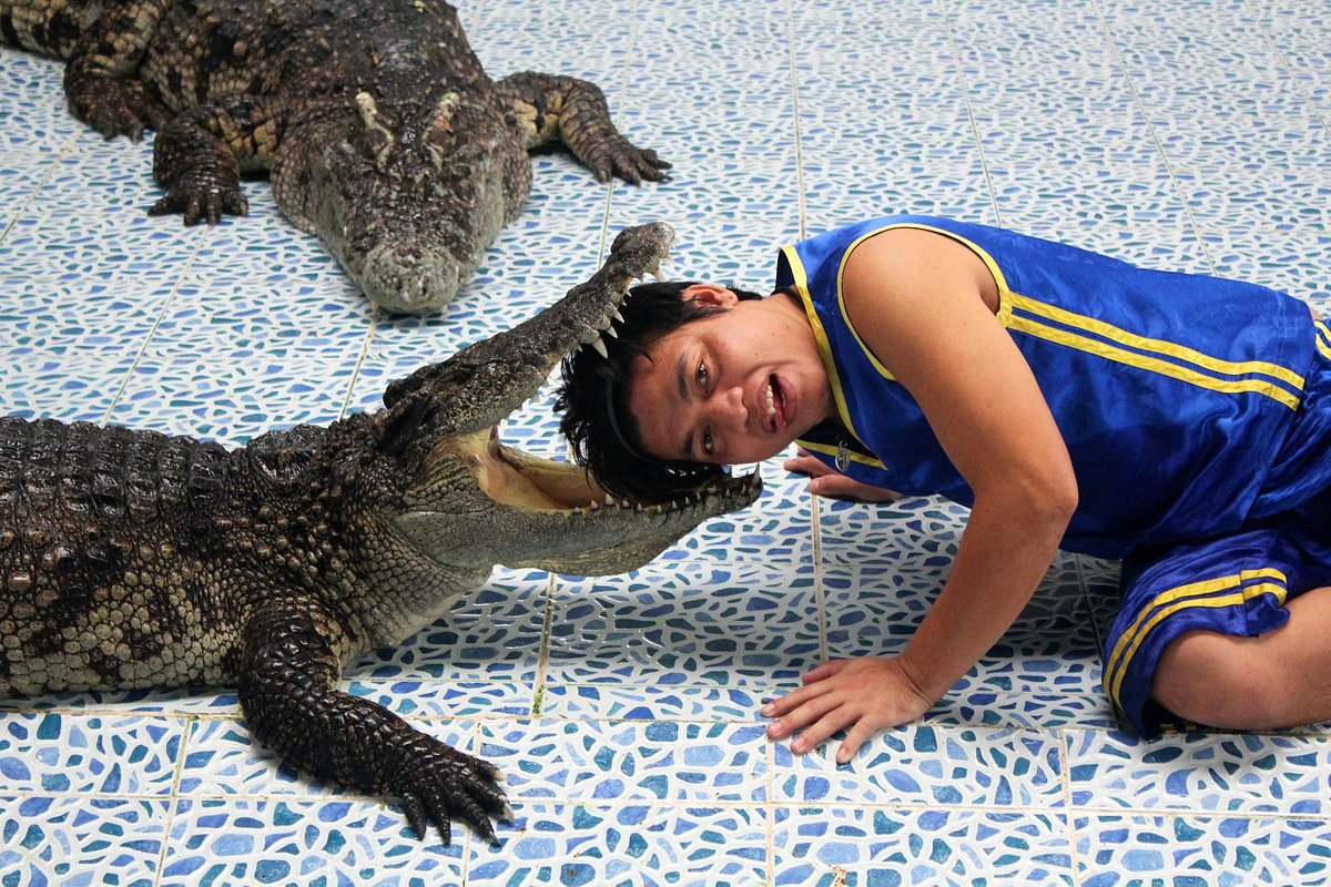 Crocodile & Snake Show Koh Chang (Ko Chang) - All You Need to Know BEFORE  You Go