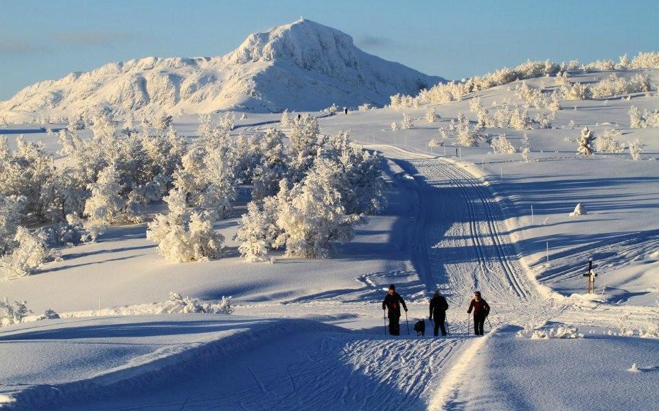 Tourisme  Fagernes  2022 Visiter Fagernes  Norv ge 