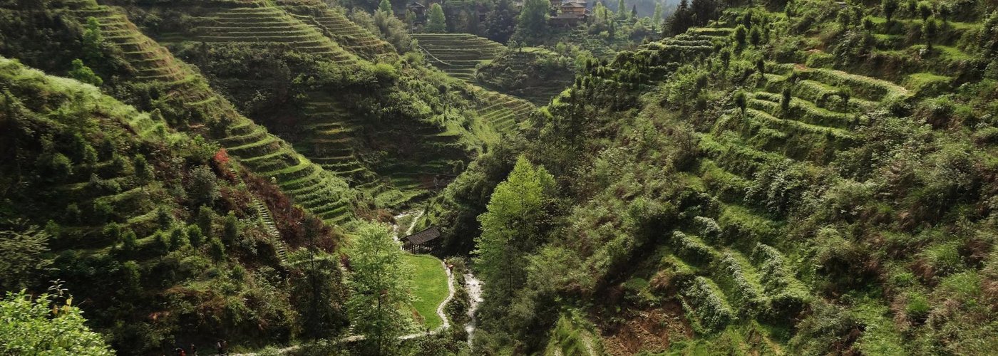 Dragon's Backbone Rice Terraces