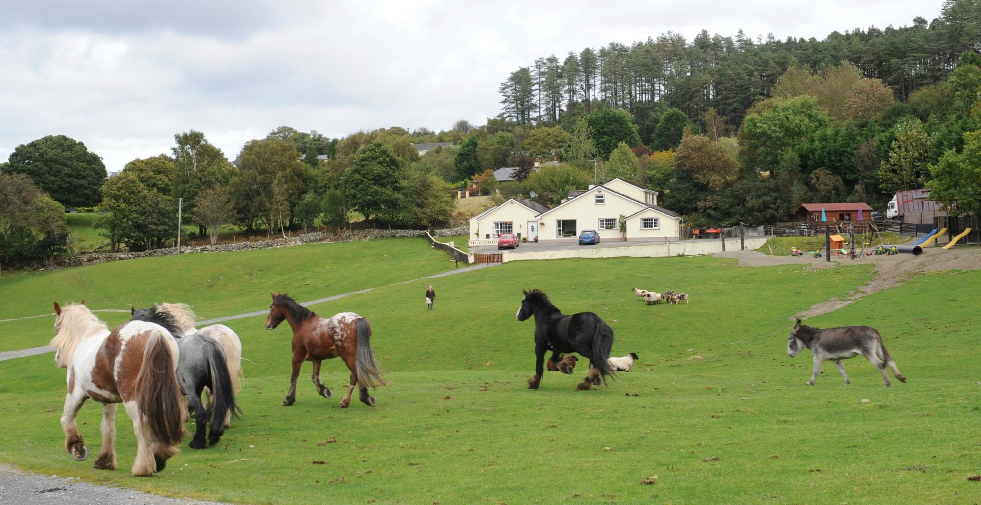 MUCKROSS RIDING STABLES B&B - Opiniones Y Precios