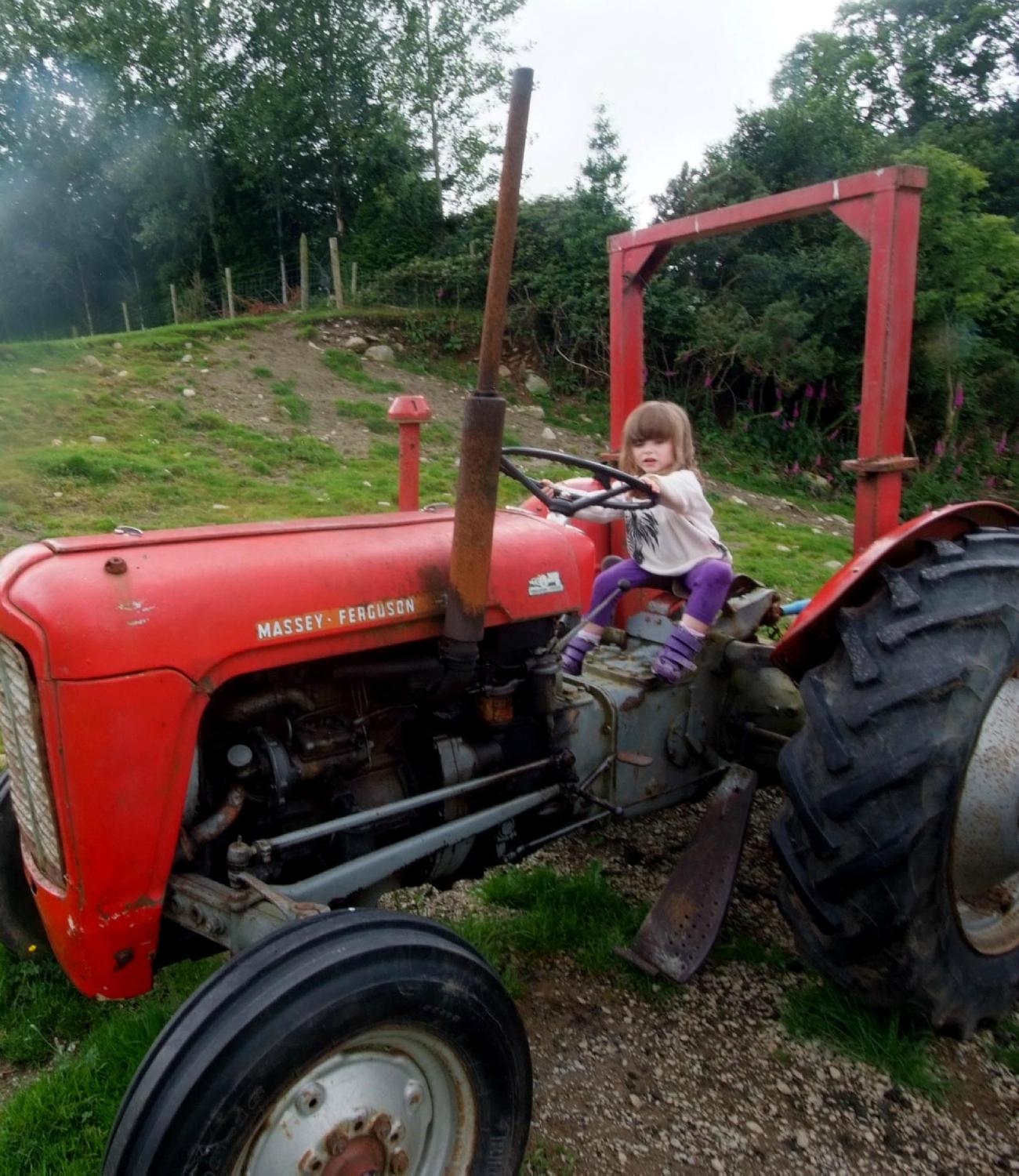 MUCKROSS RIDING STABLES B&B (Killarney, Irlanda): Opiniones Y Precios