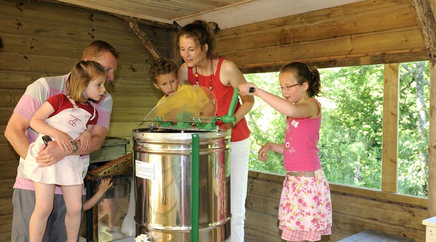 Extraction et mise en pot du miel : les enfants participent en tournant l'extracteur.
