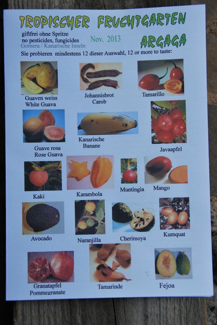 Imagen 5 de Jardín de Frutas Tropicales