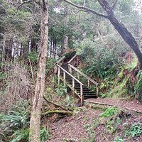Otis Johnson Park