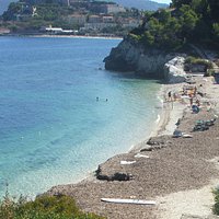 alghe "invadenti"