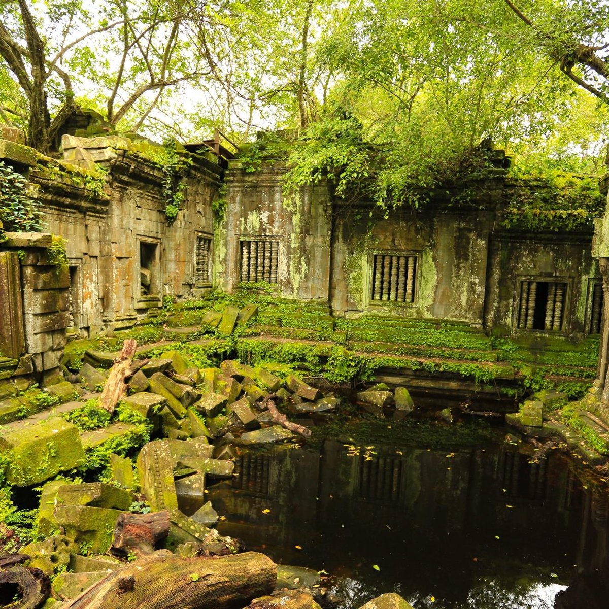 Beng Mealea (Tỉnh Siem Reap, Campuchia) - Đánh giá - Tripadvisor