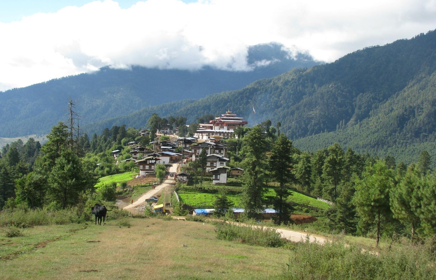 Gangtey, Bhutan 2024: Best Places to Visit - Tripadvisor