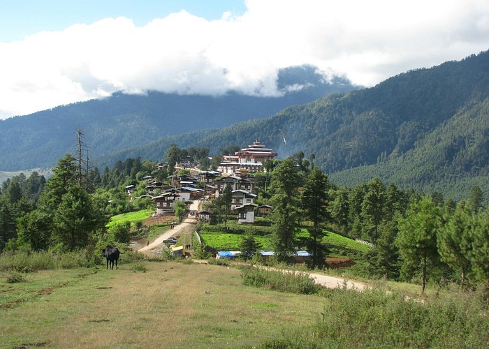 The village Gangtey, on the hill is Gangtey Gompa monastery