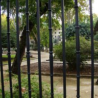 outside the park