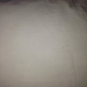Stains on Pillow Case